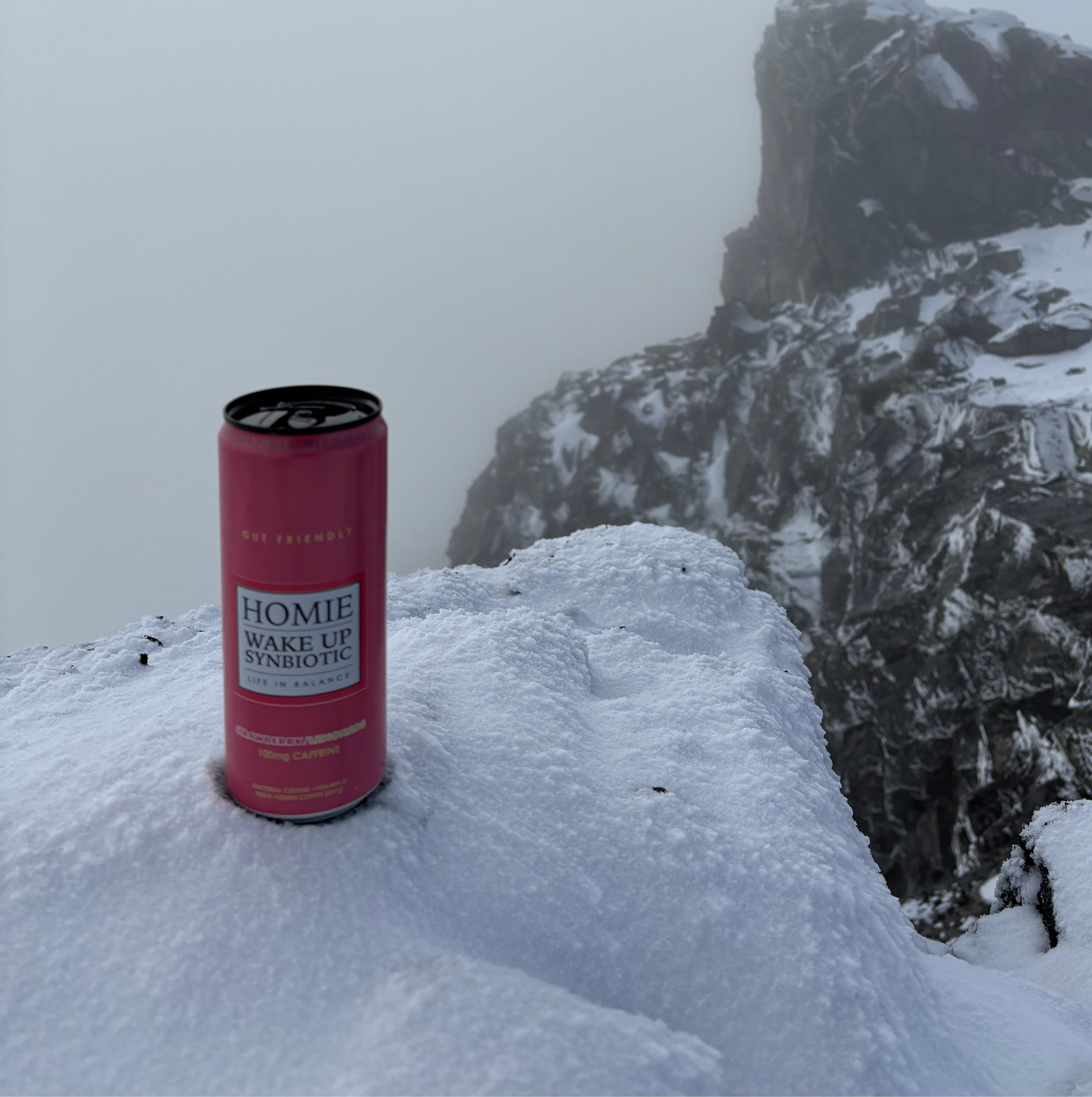 Wake Up Synbiotic - Strawberry Lemonade